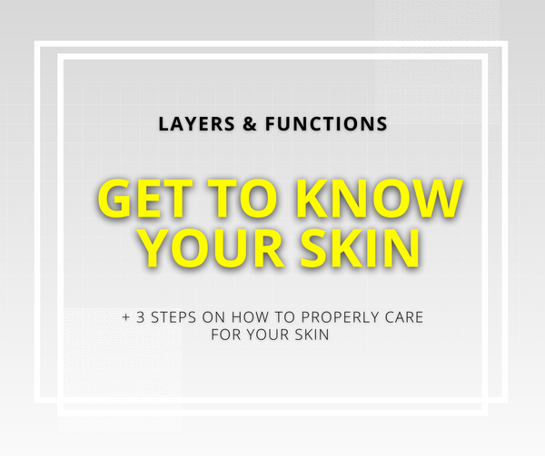 Get to Know your Skin! - Its Layers & Functions